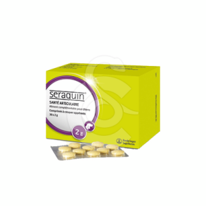 Seraquin Chien