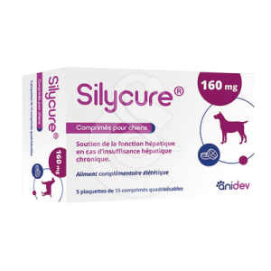 Silycure 160mg