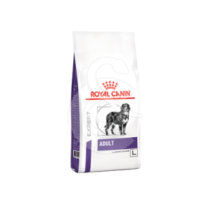 Dog Adult Large