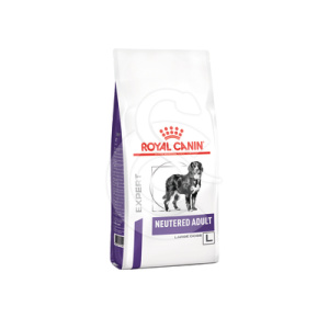 Dog Neutered Adult Large
