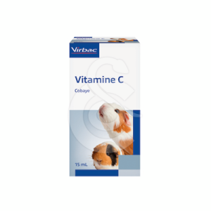 Vitamine C Cobaye