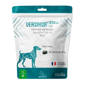 Versikor 1250 mg Chien