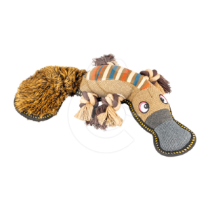 Jouet chien Canvas : Ornithorynque