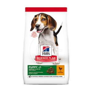 Chien Puppy Medium Poulet