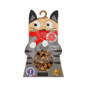 Accessoire Noël chat : Boîte Chat