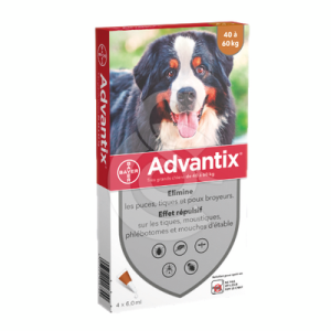 Advantix Très Grand Chien 40-60 kg