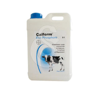 Calform Phosphore