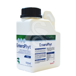 Enterophyt