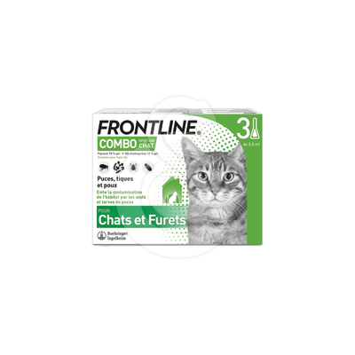 Frontline Combo Chat