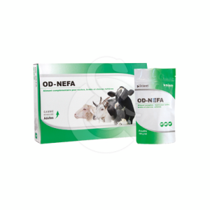 OD-Nefa