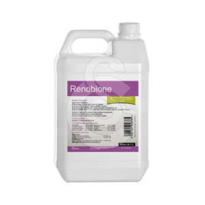 Renobione