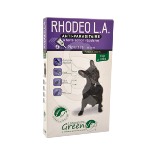 Rhodeo L.A. Pt Chien
