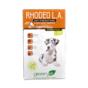 Rhodeo L.A. Grand Chien