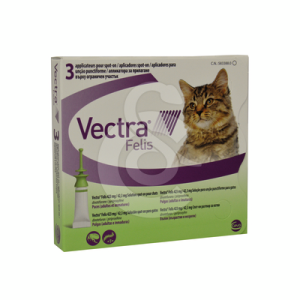 Vectra Felis