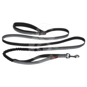 Laisse Halti Active