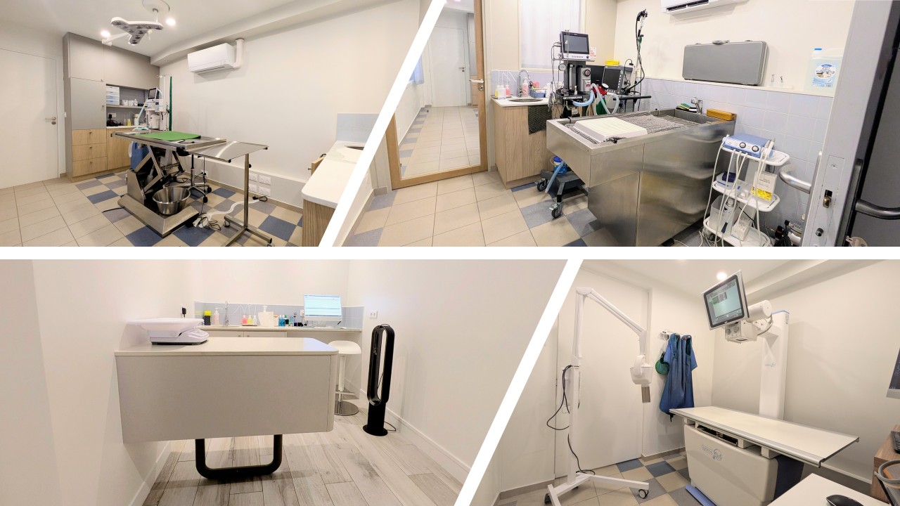 Nouveau un plateau technique vétérinaire de pointe