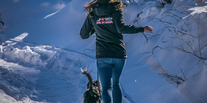 le sport est il bon pour votre chien ?