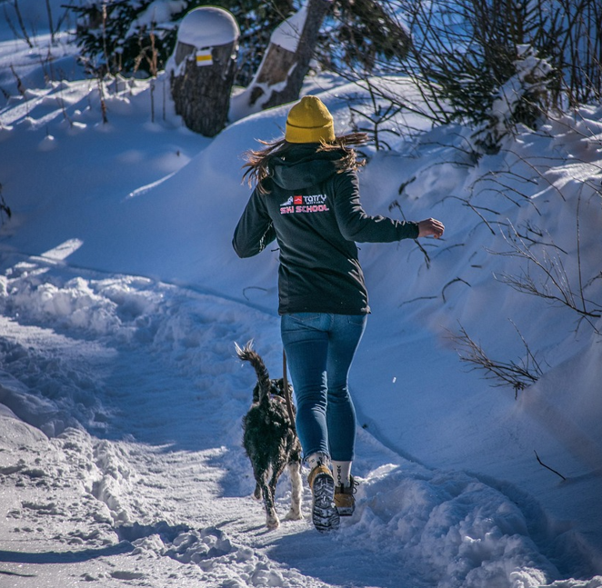 le sport est il bon pour votre chien ?
