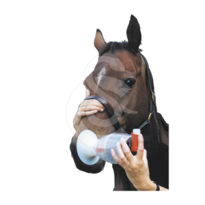 Aérosol Equine Haler pour inhalation Complet