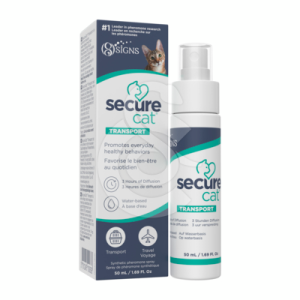 Secure Cat Transport
