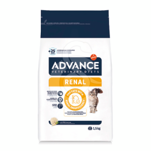Advance Chat Adult Renal
