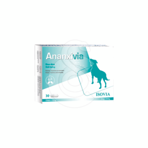 Ananxivia Grand Chien