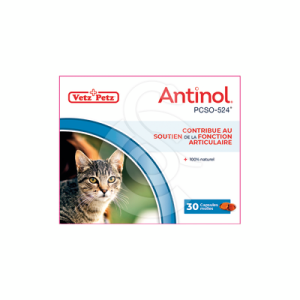 Antinol chat