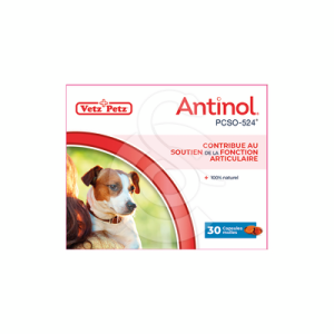 Antinol chien