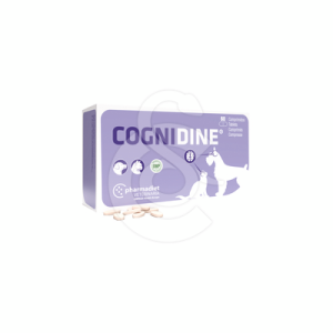 Cognidine