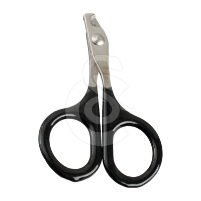 Coupe-griffes pour chat