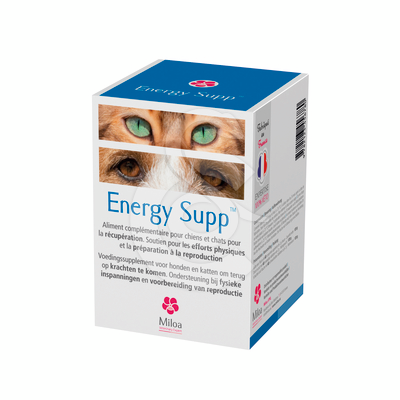 Energy Supp
