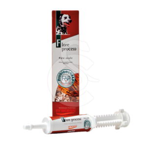 Flore Process Cn/Ct Pate orale