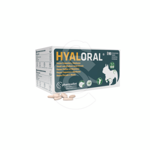 Hyaloral Chiot, petites et moyennes races