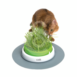 Jardin d'herbe à chat Catit Senses 2.0