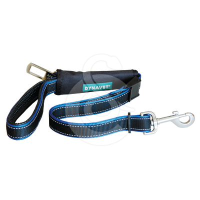 Laisse Security 2 en 1 : promenade / voiture