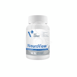 NeuroView
