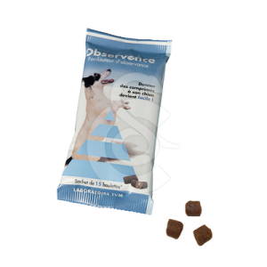 Observence Chien en boulettes