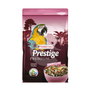 Premium Perroquets