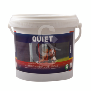 Quiet
