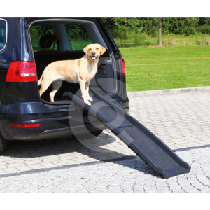 Rampe d'accès voiture pliante