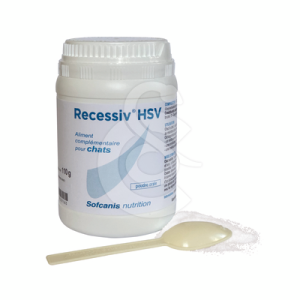 Recessiv HSV