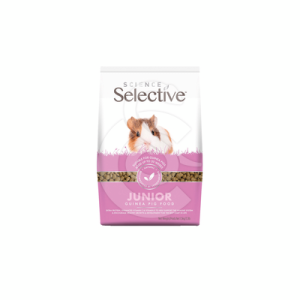 Selective junior Guinea Pig (Cochon d'Inde)