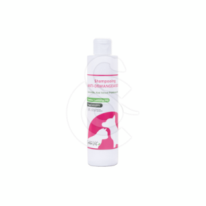 Shampoing Anti-Démangeaison