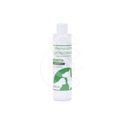 Shampoing Déodorant