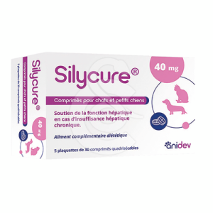 Silycure 40mg