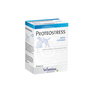 Traumachoc (Ex Proteostress PA)