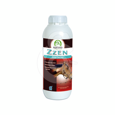 Zzen