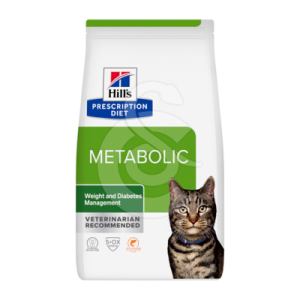 Chat Metabolic Saumon