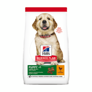 Chien Puppy Large Breed Poulet