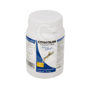 Cosequin Chat